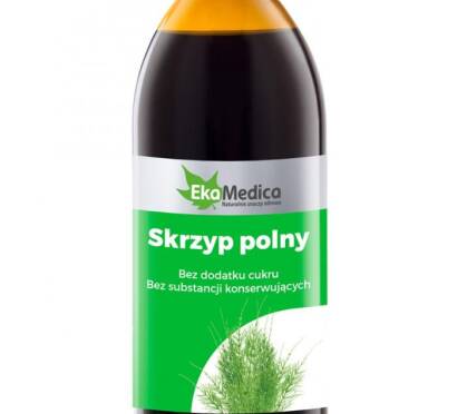 Skrzyp Polny