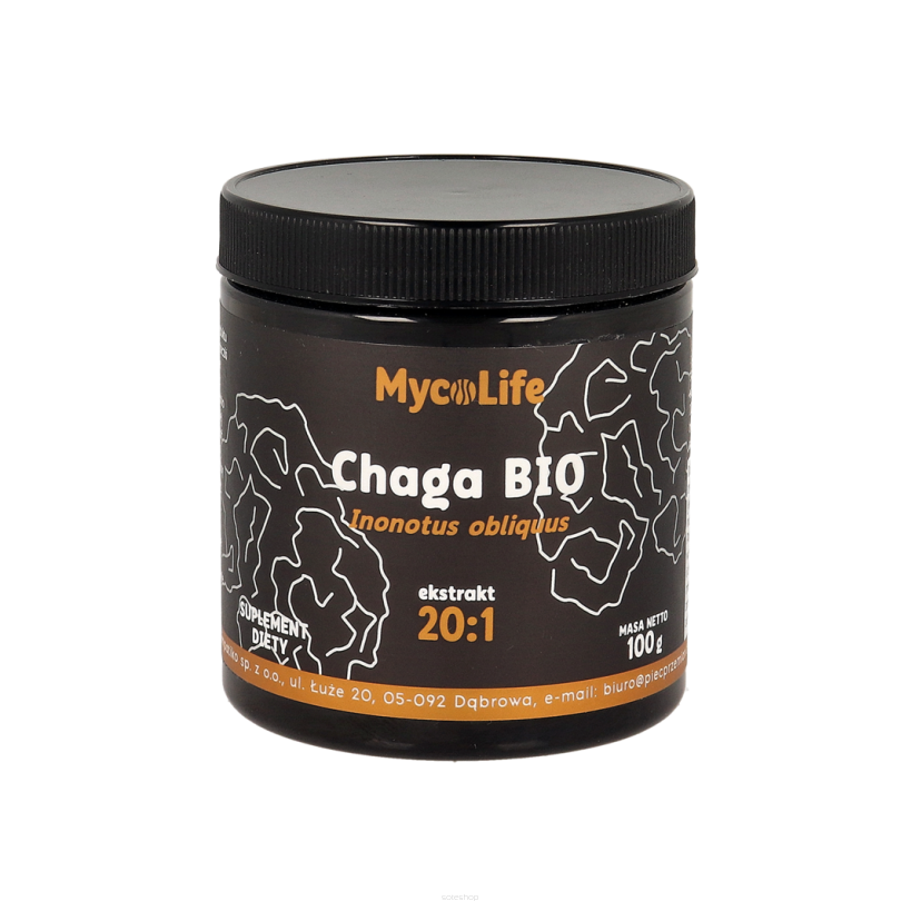 Chaga BIO 100 g - MycoLife