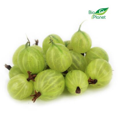 OPAKOWANIE ZBIORCZE (kg) - AGREST ŚWIEŻY BIO (POLSKA) (około 4 kg)