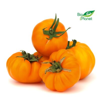 OPAKOWANIE ZBIORCZE (kg) - POMIDORY ŻÓŁTE ŚWIEŻE BIO (POLSKA) (około 4 kg)