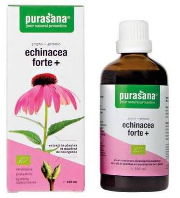 ECHINACEA FORTE (JEŻÓWKA PURPUROWA) KROPLE BIO 100 ml - PURASANA