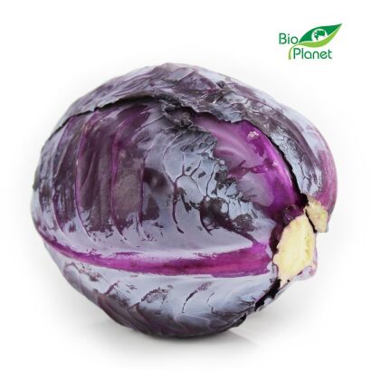 KAPUSTA CZERWONA ŚWIEŻA BIO (około 1,00 kg)