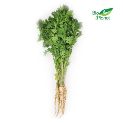 PIETRUSZKA Z NACIĄ MŁODA ŚWIEŻA BIO (POLSKA) (około 0,30 kg)