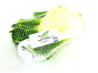 KOPER WŁOSKI ŚWIEŻY (FENKUŁ) BIO (POLSKA) (około 0,50 kg)