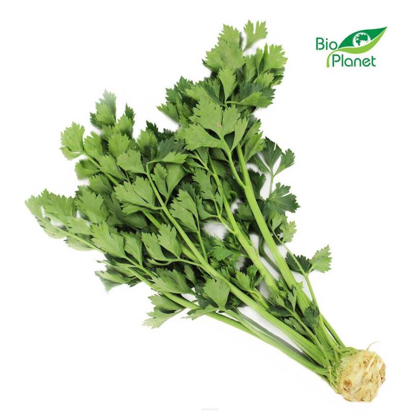 SELER Z NACIĄ ŚWIEŻY BIO (POLSKA) (około 0,25 kg)