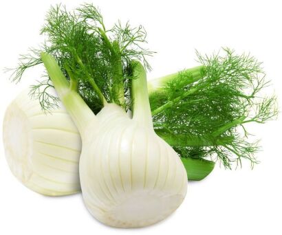 OPAKOWANIE ZBIORCZE (kg) - KOPER WŁOSKI ŚWIEŻY (FENKUŁ) BIO (POLSKA) (około 3 kg)