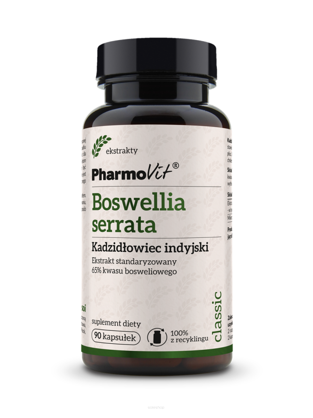 Boswellia serrata Kadzidłowiec indyjski Ekstrakt standaryzowany 65% kwasu bosweliowego 90 kaps | Classic Pharmovit