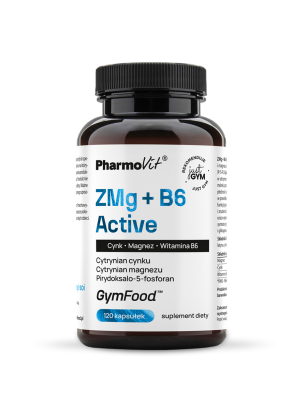 ZMg + B6 Active 120 kaps | GymFood Pharmovit